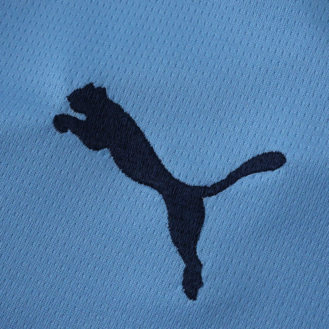 Home 25/26 Men’s Shirt