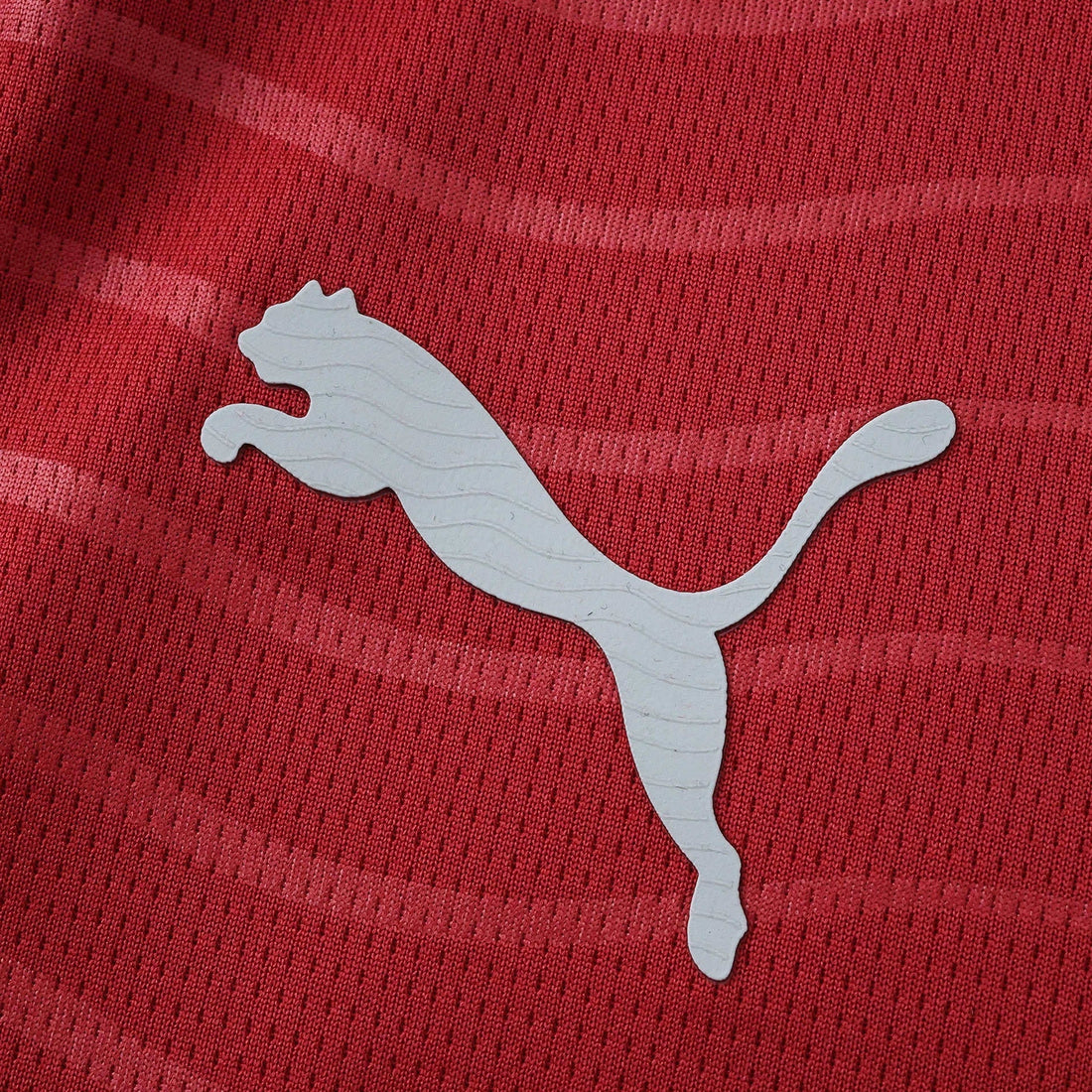 Home 26/27 Men’s Shirt